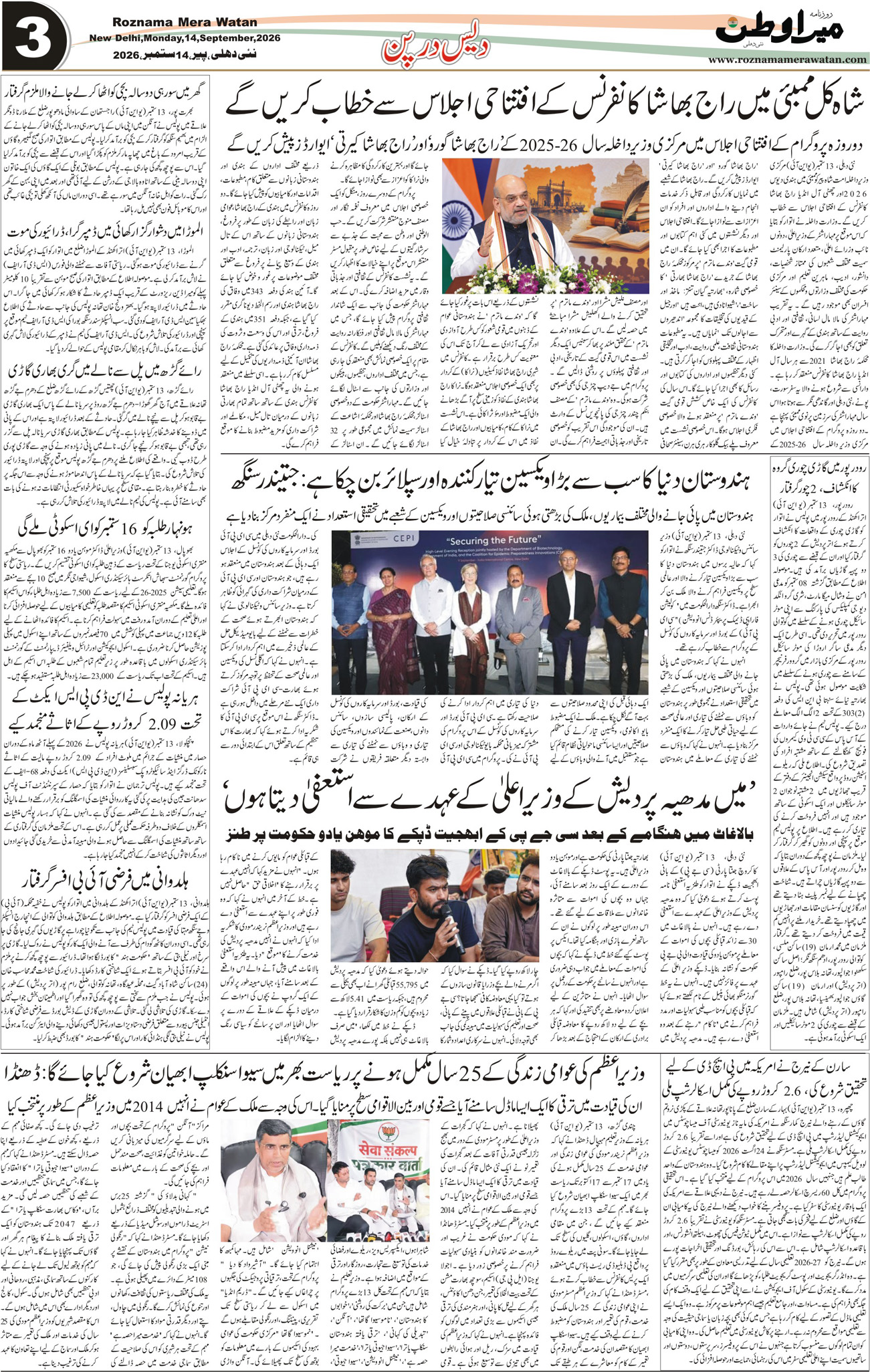 Page 3