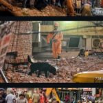 ستیہ نکیتن علاقے میں پانچ منزلہ عمارت بھر بھراکے گری 5 ہلاک، کئی کی حالت نازک