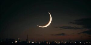 ماہ ربیع الآخر کا چاند نظر نہیں آیا،امارت شرعیہ ہند کا فیصلہ